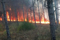 Избио пожар у Сјеверној Македонији: Ватра пријети да блокира пут ка Грчкој
