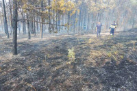 Sjeverna Makedonija: Veliki požar u šumi stavljen pod kontrolu