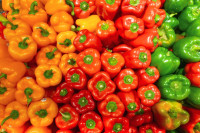 Znate li koja je tačno razlika između crvene, žute i zelene paprike?