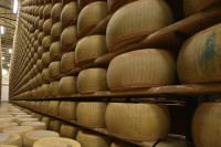 Bizaran slučaj u Italiji: Starac poginuo kada se na njega srušilo više hiljada kolutova sira