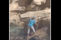 Žena se popela na Fontanu di Trevi da napuni bocu vode, nije dobro prošlo VIDEO