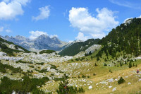 Sahranjena najstarija Hercegovka