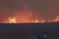 Pijani Nijemac izazvao požar u Grčkoj: Evo kakvu je kaznu dobio!