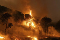 Na stotine vatrogasaca u Grčkoj bori se sa požarima, naređene dodatne evakuacije