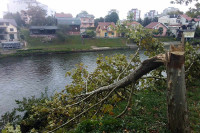 Vjetar oštetio stabla, oborena zastava Srbije kod „Centruma“