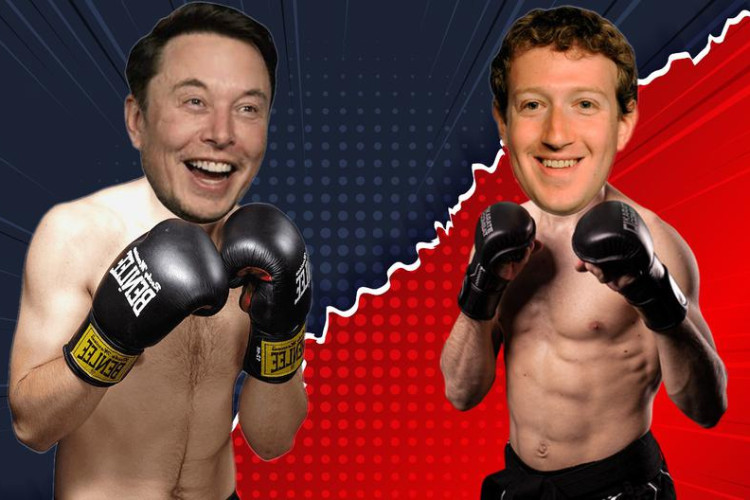 Nuovo combattimento: Musk e Zuckerberg non riescono a mettersi d’accordo su un combattimento in gabbia