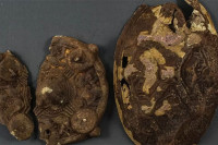 Породица у Норвешкој пронашла предмете старе хиљаду година, тражећи минђушу