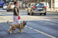 Danas pretežno sunčano, do 27 stepeni celzijusovih