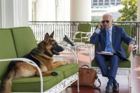 Премјештен пас предсједника Бајдена који је више пута ујео агенте тајне службе