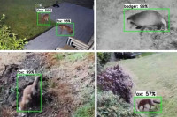 Uz pomoć kamera i zvukova tjera divlje životinje iz svog dvorišta