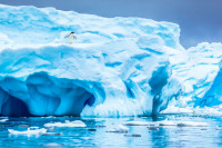 Britanska studija: Na Antarktiku smanjeno oko 40 odsto ledenih polica od 1997.