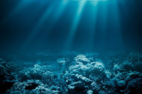 Мистериозни звукови из дубине океана (VIDEO)