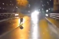 Вук снимљен како трчи улицама Котор Вароша? VIDEO