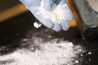 Spriječen šverc veće količine kokaina na granici sa Hrvatskom