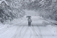 Stiže li u Evropu "arktička eksplozija"