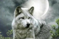 O porijeklu ljubavi i straha od vuka: Prema predanju on je mitološki predstavnik srpskog naroda