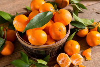 Забрањен увоз мандарина из Турске због повећаног садржаја пестицида