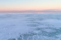 Људски преци путовали преко замрзнутих океана?