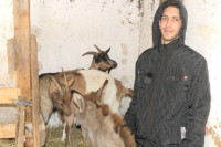 Započeo novi život na selu uz magarca i četiri koze