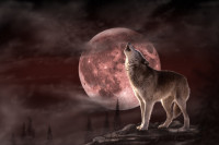 Zašto se večerašnji pun mjesec naziva vučji?