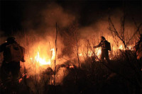 Више шумских пожара у Гацку
