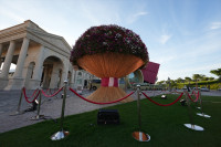 Највећи букет природног цвијећа на свијету изложен у Дохи