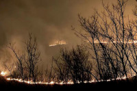 Požar na obroncima Fruške Gore, vatrogasci i policija na terenu