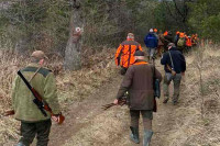 Озрен: 600 ловаца вратило се из хајке на вука без трофеја
