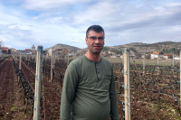 Предић: Херцеговина има добро земљиште за развој винове лозе