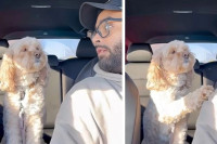 Власник упитао свог пса зна ли шта је љубав, његова реакција одушевила милионе