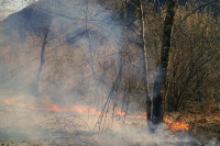 Bukte požari u Milićima