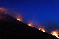 Požar u Trebinju, gori nisko rastinje