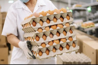Tuđa jaja guše domaću proizvodnju
