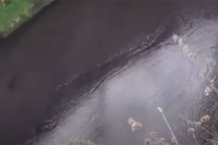 Inspekcija na terenu: Rijekom Crkvenom u Banjaluci teče motorno ulje
