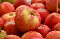 Зелено свјетло за извоз садница јабука на тржиште ЕУ