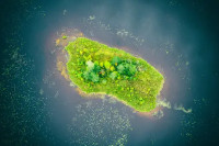 Pogledajte gdje se nalazi najzelenije ostrvo na svijetu (VIDEO)