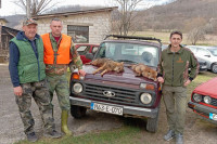 Milićki lovci odstrijelili šakala i lisicu