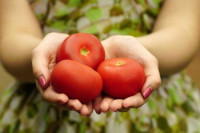 Dilema koja je čak bila i na sudu: Da li je paradajz voće ili povrće?