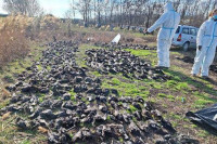 Veterinarska inspekcija uzela uzorke na mjestu uginuća ptica u Nakovu