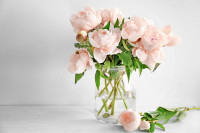 Sačuvajte buket koji ste dobili za 8. mart: Uz ovaj trik ruže u vazi će vam trajati duže