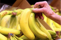 Cijena banana će rasti sa klimatskim promjenama