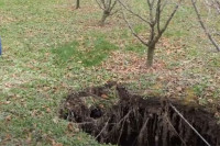 Misterija: Na plantaži u BiH se stvorila velika rupa, niko ne zna koliko je duboka (VIDEO)