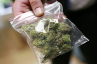 Pronađeno 148 grama marihuane, jedno lice lišeno slobode