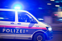 Austrijski sajt tvrdi da je našao ženu sa snimka u Beču