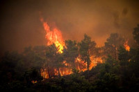 Evakuacija na Kritu zbog šumskog požara