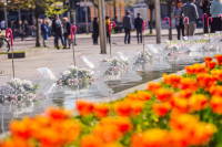Бања Лука припрема цвјетну чаролију: У петак отварање Бањалучког фестивала цвијећа