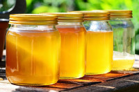 Smanjen izvoz meda u prošloj godini