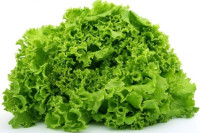 Kako da vam zelena salata ostane svježa i hrskava i do šest nedjelja nakon kupovine