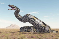 Pronađeni ostaci džinovske zmije stari oko 47 miliona godina, imala oko 1.000 kg