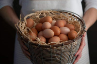 Како скинути печат са јаја?
